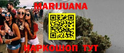 СК Новодвинск