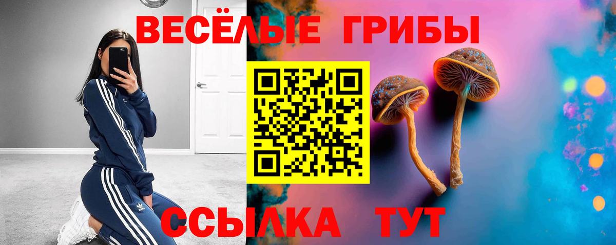 Галлюциногенные грибы ЛСД  Псилоцибиновые грибы ЛСД  что такое   Семилуки  Вход с VPN 